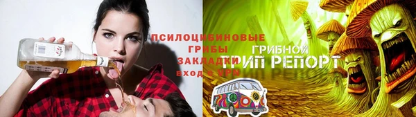бошки Алексин