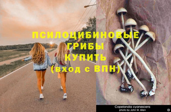 ALPHA PVP Алзамай