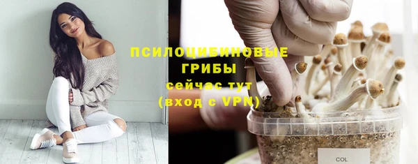 ALPHA PVP Алзамай