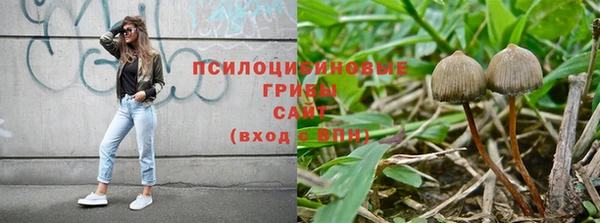 бошки Алексин