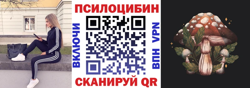 Псилоцибиновые грибы прущие грибы  Берёзовский 