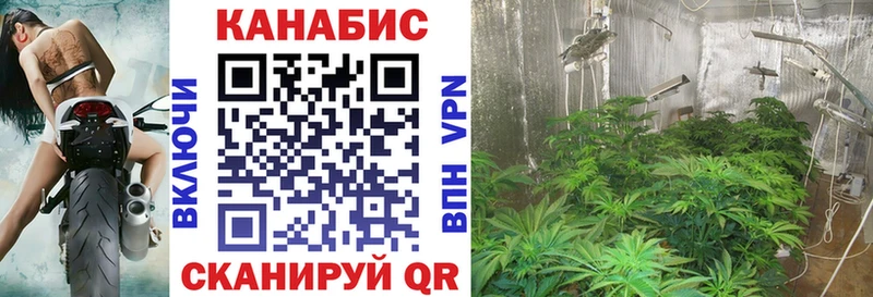 площадка какой сайт kraken tor Берёзовский Бошки Шишки OG Kush